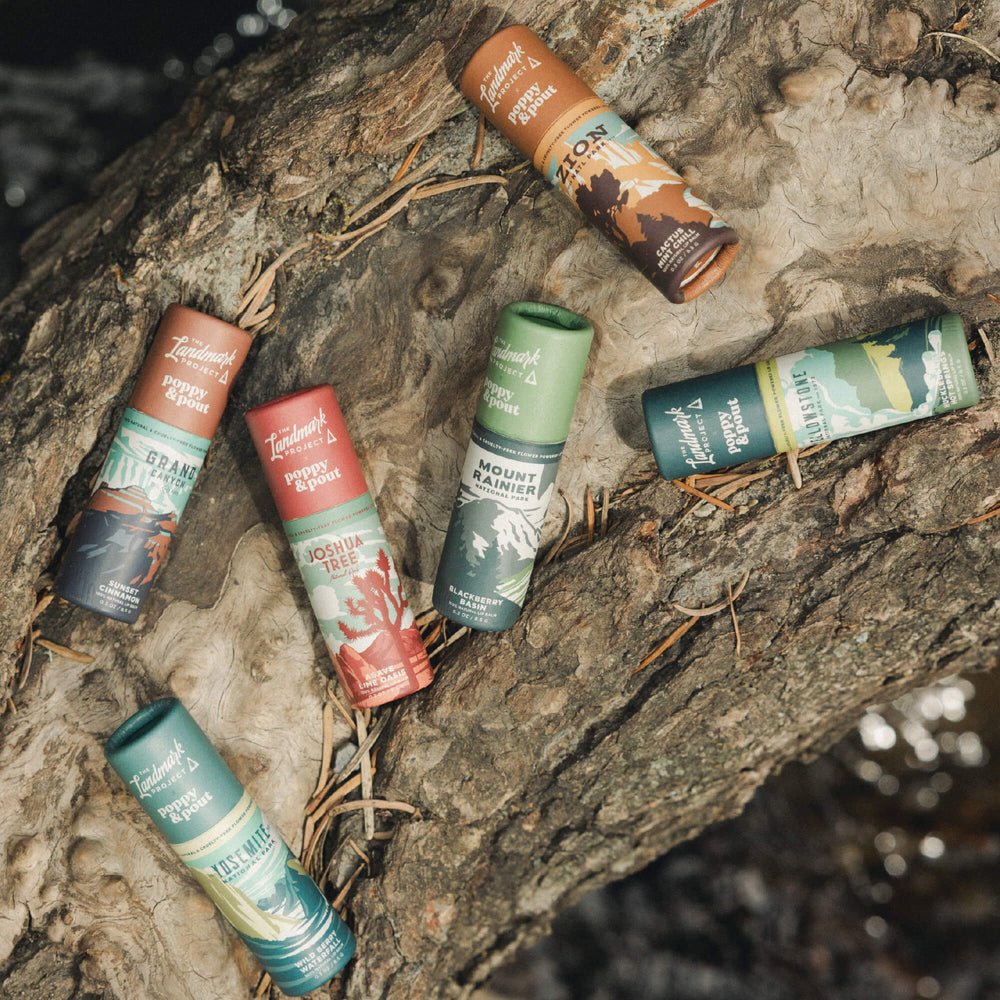 The Landmark Project, Lip Balm, Yellowstone Huckleberry Hot Springs